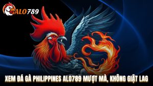 Xem Đá Gà Philippines Alo789 Mượt Mà, Không Giật Lag